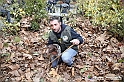 VBS_1416 - Fiera Nazionale del Tartufo e dei Santi 2022
